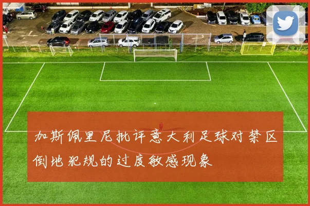 加斯佩里尼批评意大利足球对禁区倒地犯规的过度敏感现象