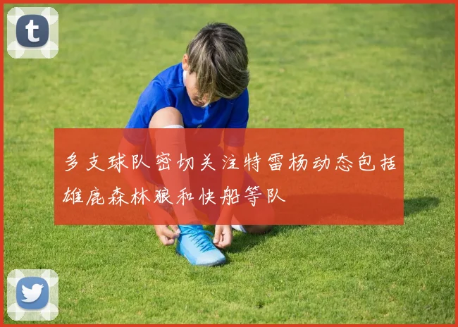 多支球队密切关注特雷杨动态包括雄鹿森林狼和快船等队